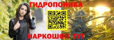 дживик Камышлов