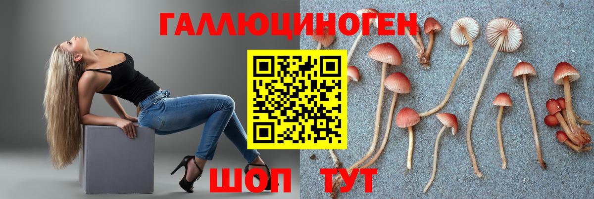 Лосино-Петровский  Псилоцибиновые грибы ЛСД  Вход с VPN 